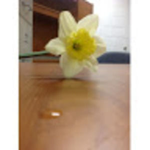 Meet your Posher, Meghan